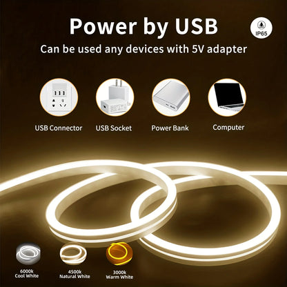 USB Neon LED Strip with Touch Dimmer