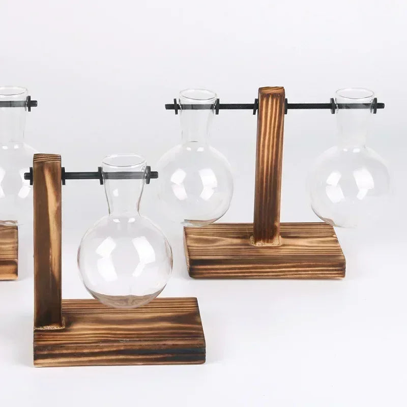 Hydroponic Glass Terrarium Vase