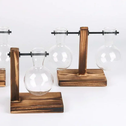 Hydroponic Glass Terrarium Vase